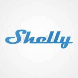 Shelly Plug Flyer